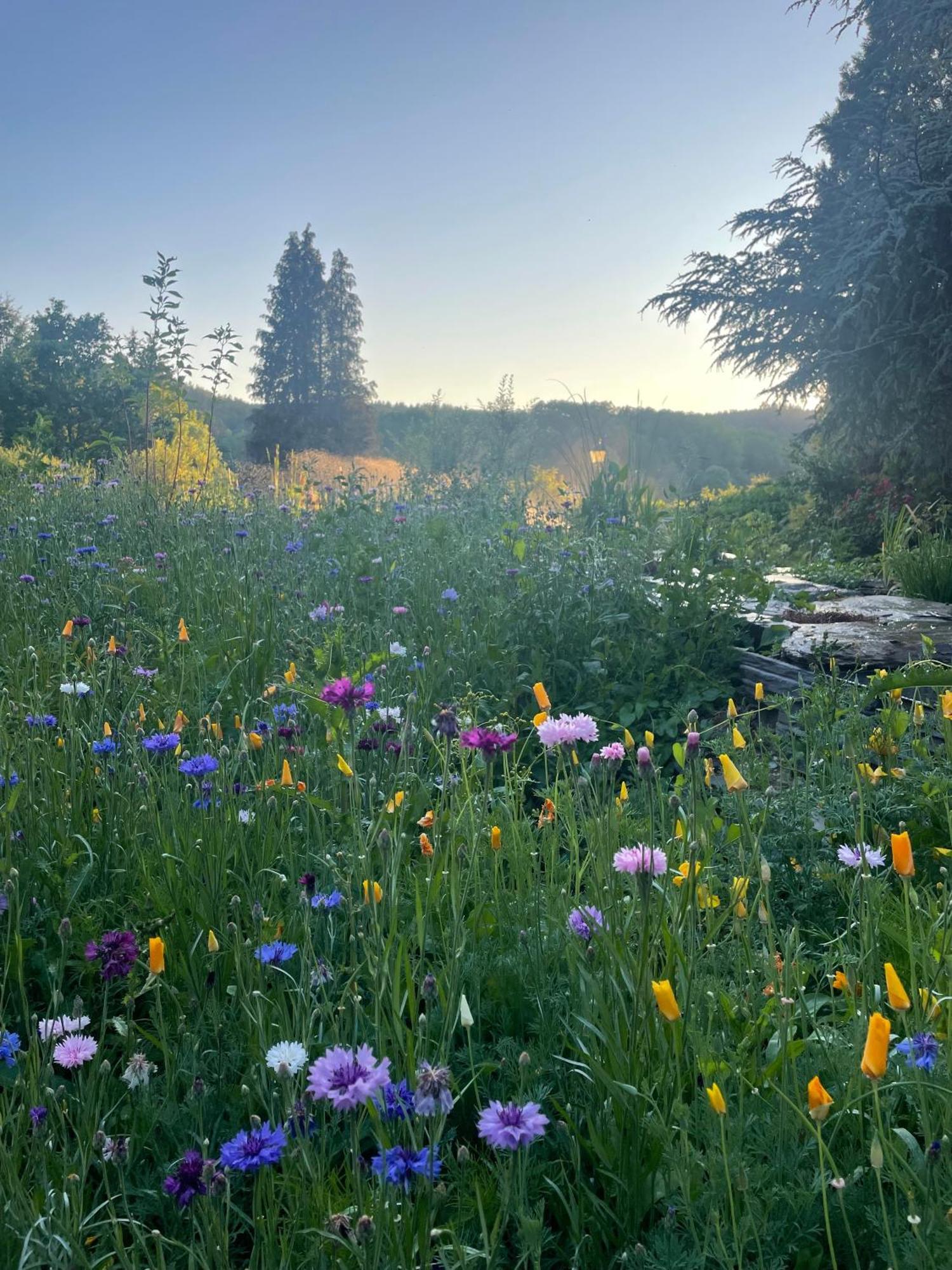 Domaine De L'Ardoisiere Villa Alle Bagian luar foto