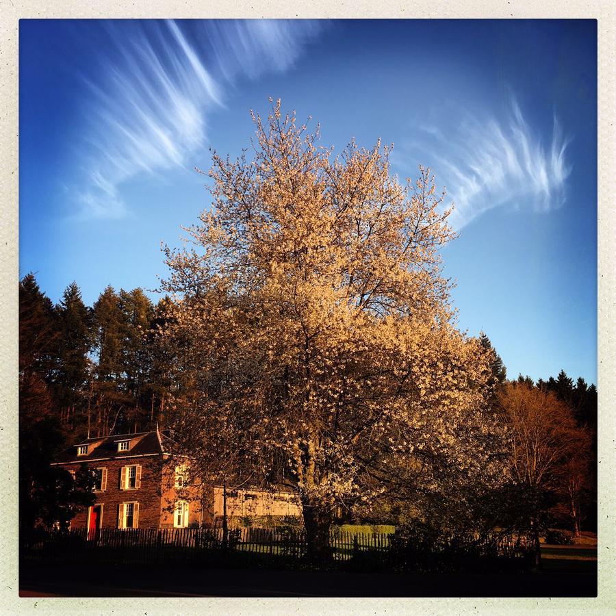 Domaine De L'Ardoisiere Villa Alle Bagian luar foto